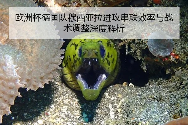 欧洲杯德国队穆西亚拉进攻串联效率与战术调整深度解析