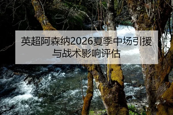 英超阿森纳2026夏季中场引援与战术影响评估